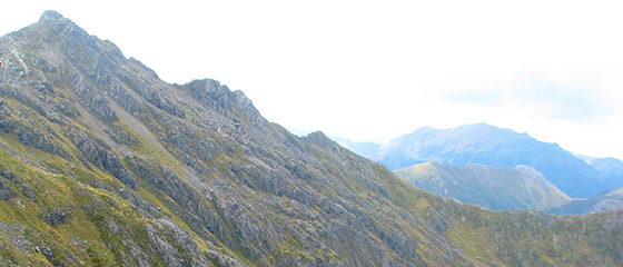 kahurangi kahurangi
